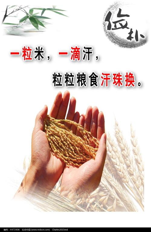哪里有注册Bittrex台湾实名资料